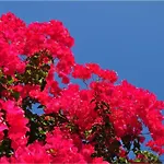 Hotel Kefalonia &