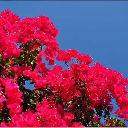 Szálloda Kefalonia &